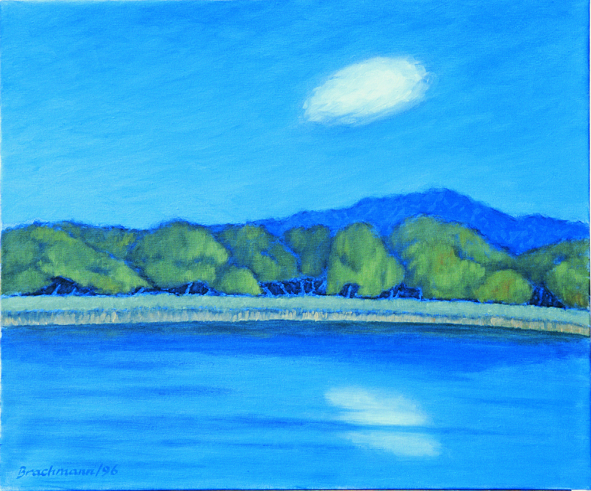 Kleiner Luzin 356 Monika Brachmann