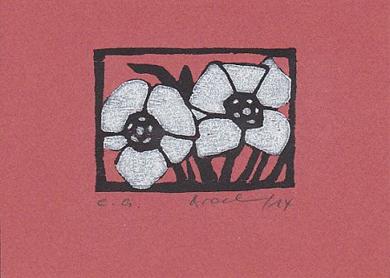 Druck: Christrosen von Monika Brachmann